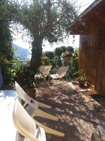 foto 5 Affitto tra privati Menton (Mentone) gite Provenza Alpi Costa Azzurra Alpi Marittime (Alpes-Maritimes) Cortile