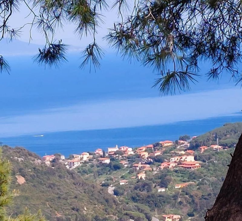 foto 9 Affitto tra privati Rio nell'Elba appartement Toscana Isola d'Elba