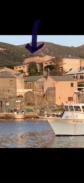 foto 9 Affitto tra privati Centuri appartement Corsica Corsica settentrionale Vista nelle vicinanze