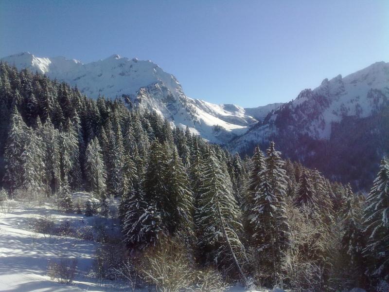 foto 2 Affitto tra privati Bellevaux Hirmentaz La Chvrerie studio Rodano Alpi Alta Savoia Vista nelle vicinanze