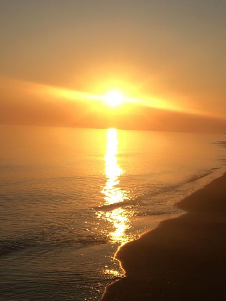 foto 26 Affitto tra privati Rodi Garganico appartement Puglia Foggia (provincia di) Spiaggia