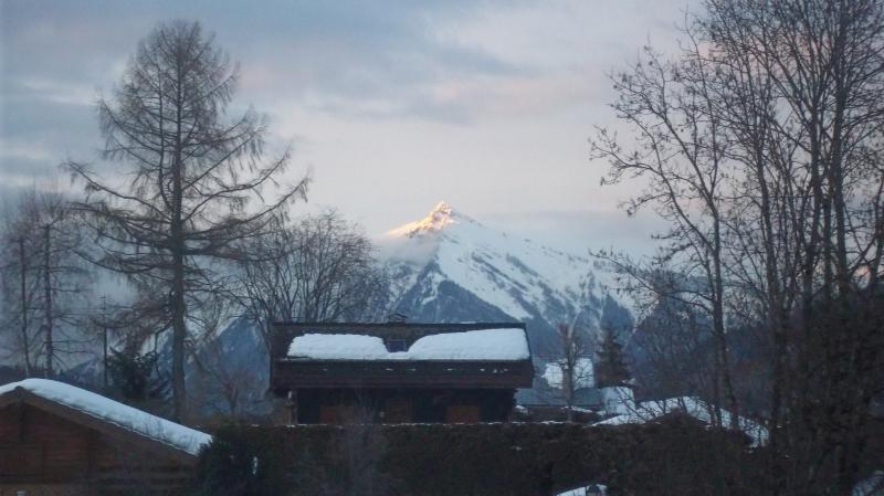 foto 6 Affitto tra privati Praz de Lys Sommand studio Rodano Alpi Alta Savoia Vista dal balcone