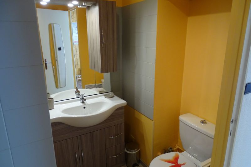 foto 7 Affitto tra privati Nvache studio Provenza Alpi Costa Azzurra Alte Alpi (Hautes-Alpes) Bagno