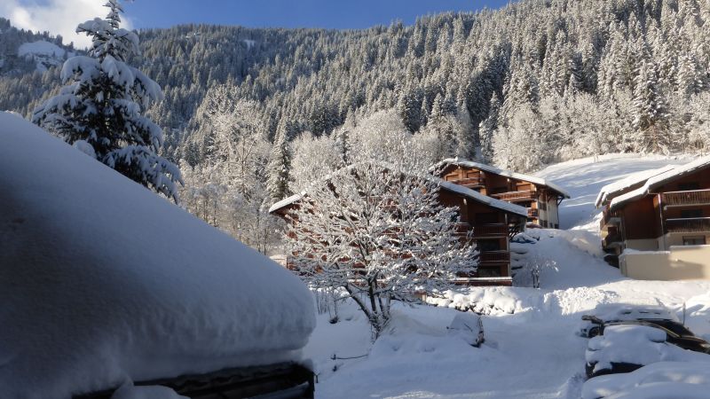 foto 13 Affitto tra privati Chtel appartement Rodano Alpi Alta Savoia Vista dalla casa vacanze