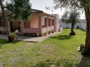 Affitto case mare Sassari (Provincia Di): villa n. 59944