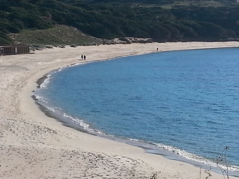 foto 11 Affitto tra privati Isola Rossa appartement Sardegna Olbia Tempio (provincia di) Spiaggia