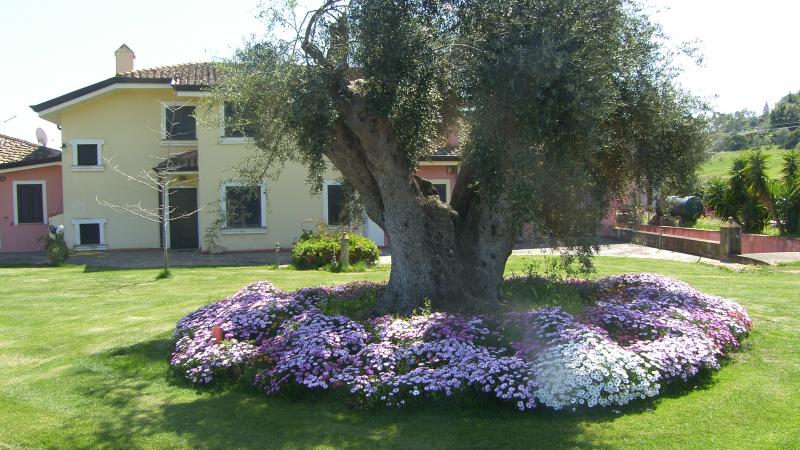 foto 6 Affitto tra privati Barisardo appartement Sardegna Ogliastra (provincia di) Vista esterna della casa vacanze