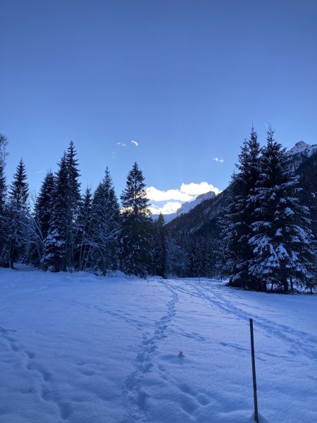 foto 15 Affitto tra privati Selva di Cadore appartement Veneto Belluno (provincia di)