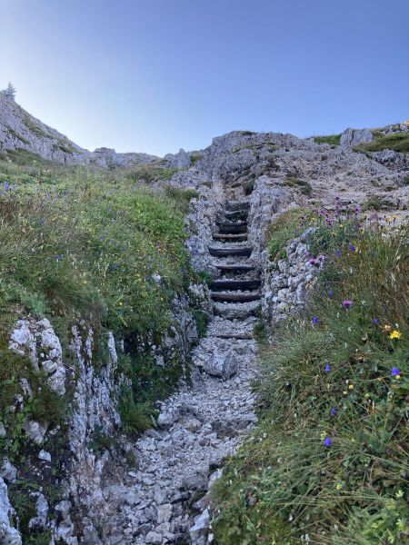 foto 17 Affitto tra privati Selva di Cadore appartement Veneto Belluno (provincia di)