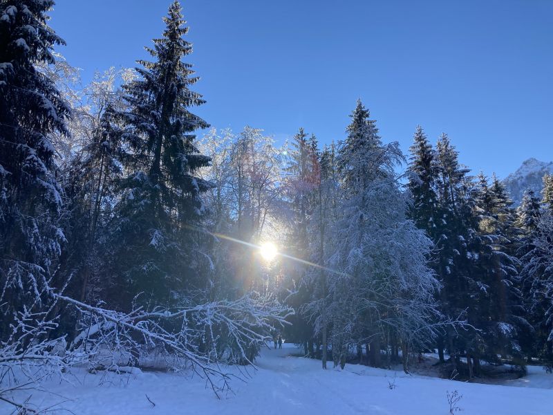 foto 19 Affitto tra privati Selva di Cadore appartement Veneto Belluno (provincia di)