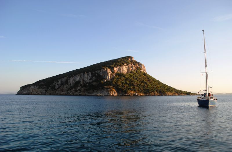 foto 0 Affitto tra privati Golfo Aranci villa Sardegna Olbia Tempio (provincia di)