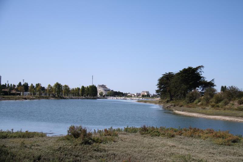 foto 20 Affitto tra privati La Baule studio Regione della Loira Loira Atlantica Vista dalla casa vacanze