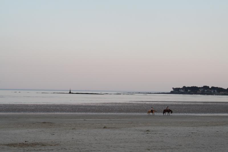 foto 21 Affitto tra privati La Baule studio Regione della Loira Loira Atlantica Spiaggia