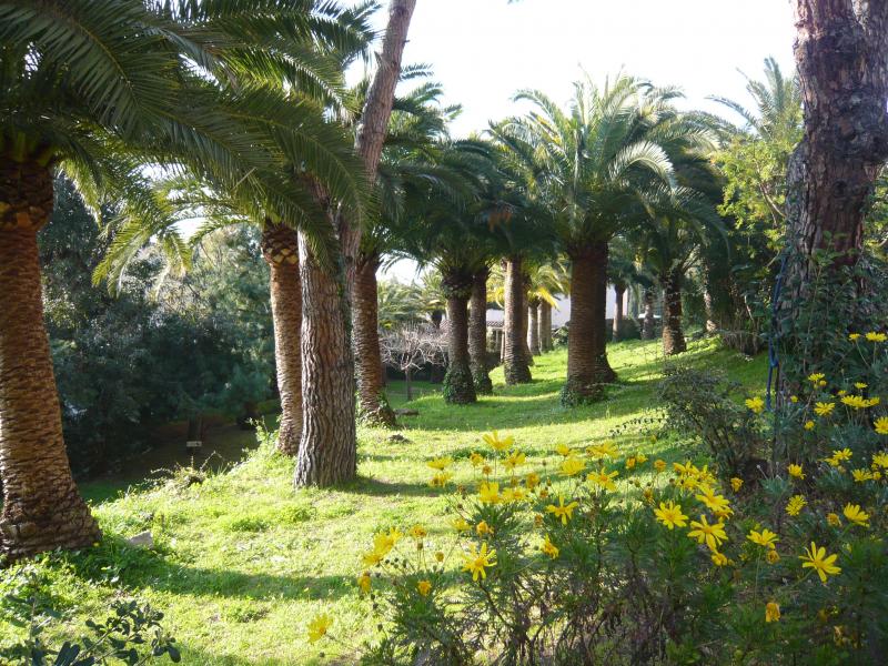 foto 3 Affitto tra privati Cannes appartement Provenza Alpi Costa Azzurra Alpi Marittime (Alpes-Maritimes) Giardino