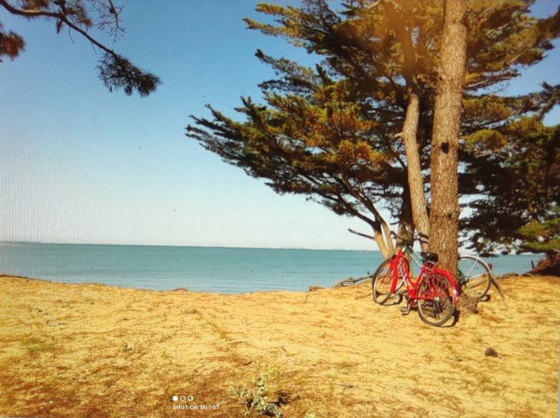 foto 8 Affitto tra privati Saint Georges d'Olron maison Poitou-Charentes Charente-Maritime Spiaggia