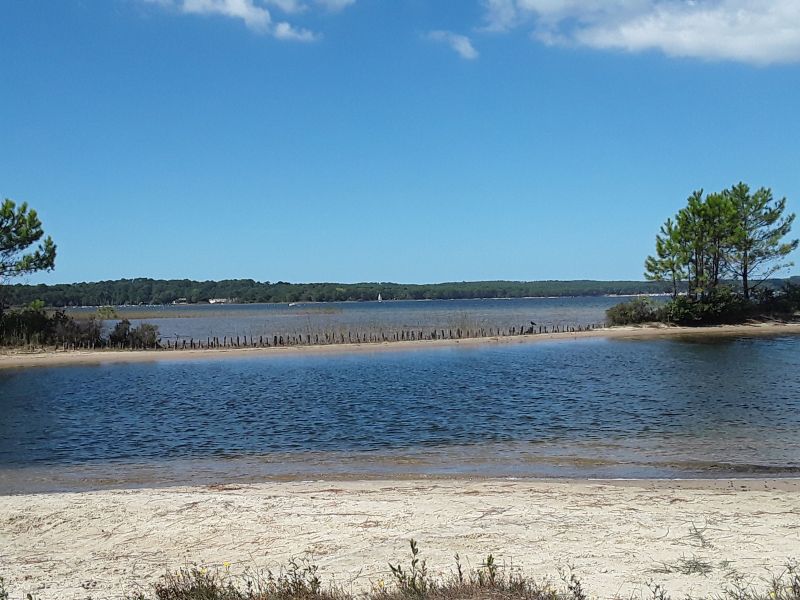 foto 10 Affitto tra privati Biscarrosse maison Aquitania Landes Vista nelle vicinanze