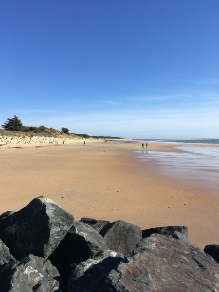 foto 14 Affitto tra privati Dolus d'Olron maison Poitou-Charentes Charente-Maritime Spiaggia