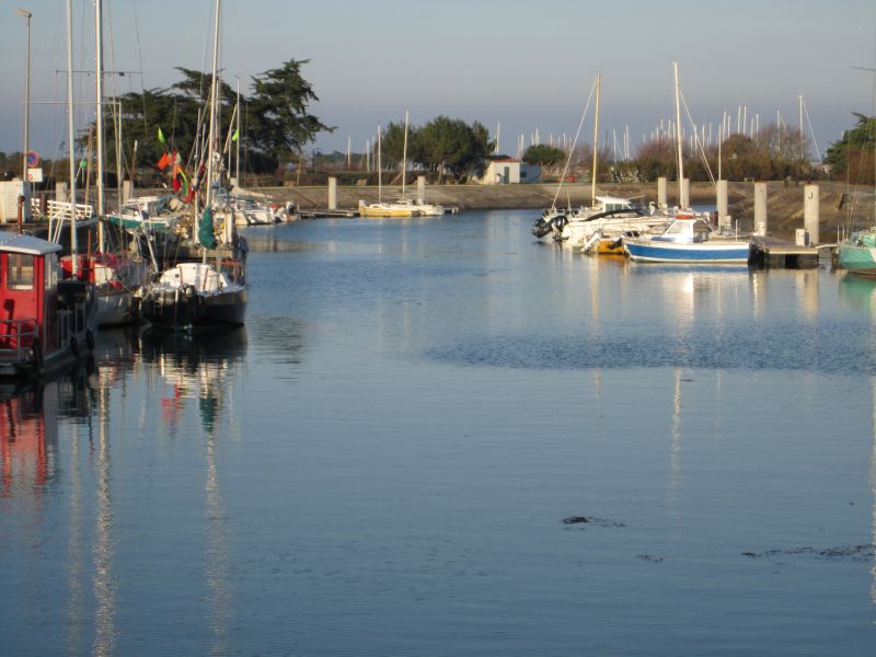 foto 10 Affitto tra privati Ars en R maison Poitou-Charentes Charente-Maritime Vista nelle vicinanze