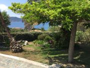 Affitto case vacanza Corsica Del Sud per 3 persone: appartement n. 7815
