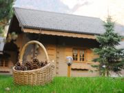 Affitto case chalet vacanza: chalet n. 845