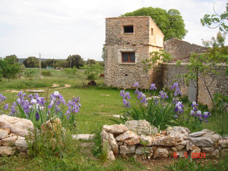 foto 4 Affitto tra privati Montpellier insolite Linguadoca-Rossiglione Hrault Vista dalla casa vacanze