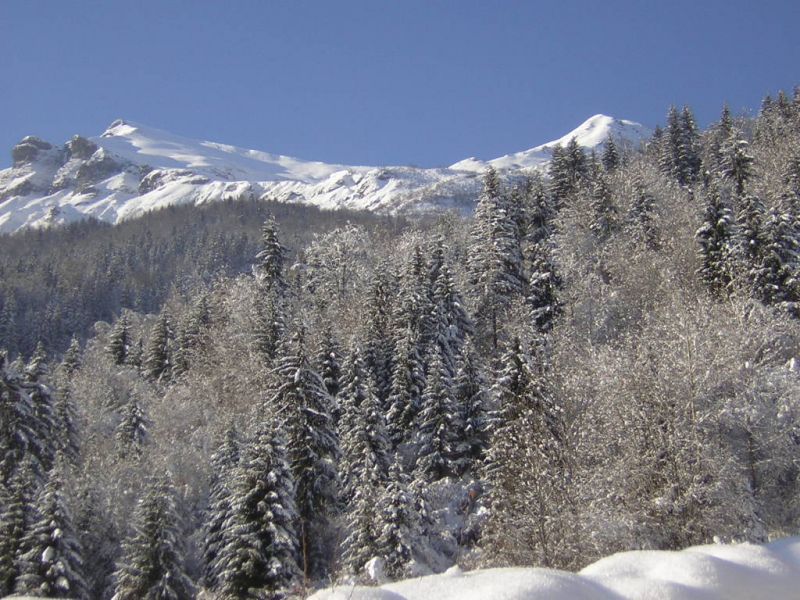 foto 13 Affitto tra privati Les Contamines Montjoie maison Rodano Alpi Alta Savoia