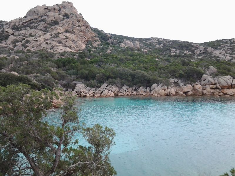 foto 8 Affitto tra privati Tizzano villa Corsica Corsica del Sud Vista nelle vicinanze