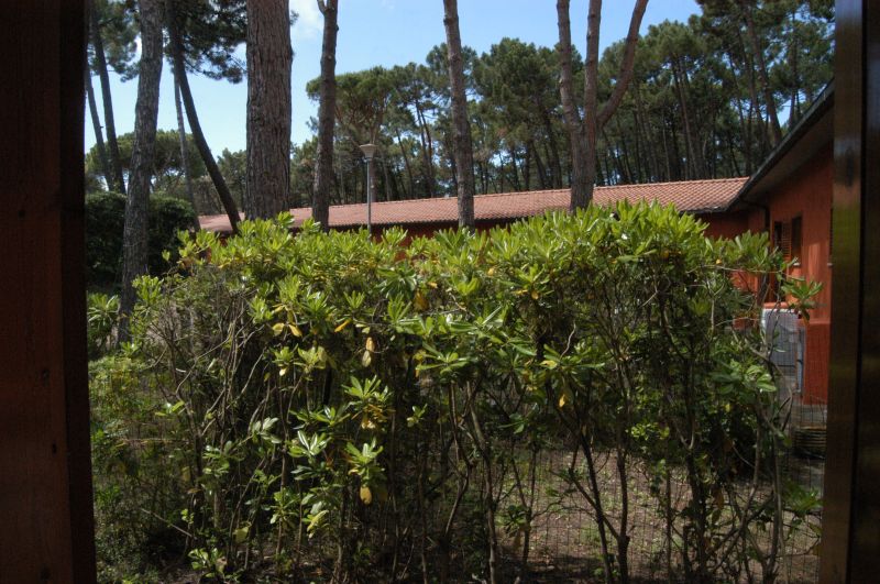 foto 6 Affitto tra privati Principina a Mare appartement Toscana Grosseto (provincia di) Giardino