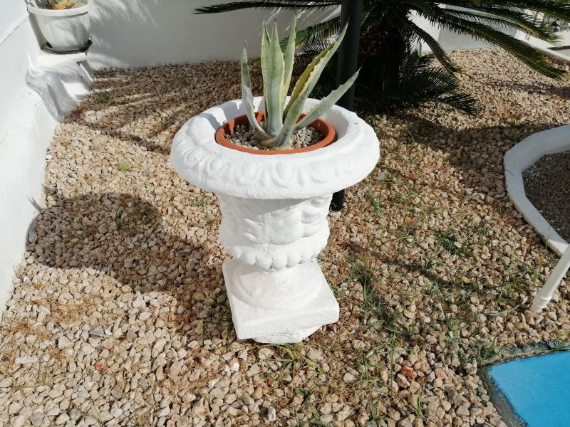 foto 6 Affitto tra privati Torre Lapillo maison Puglia Lecce (provincia di) Giardino