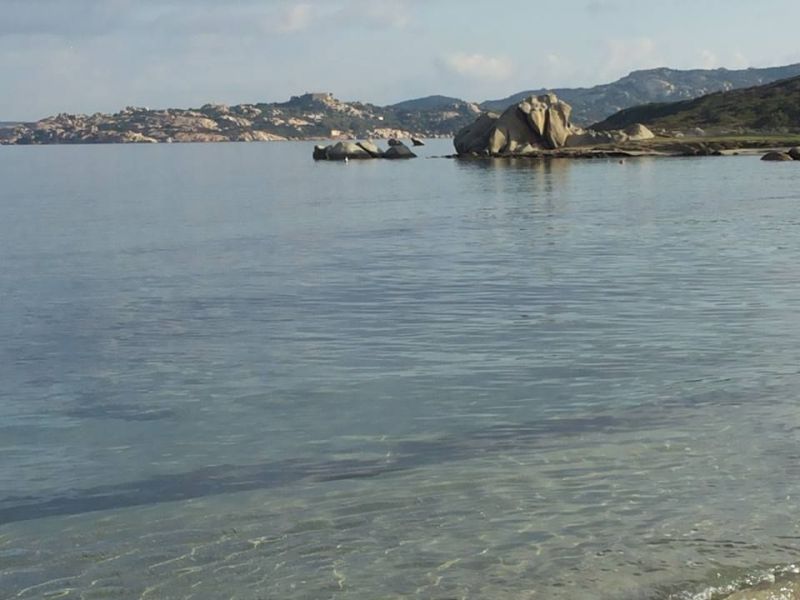 foto 19 Affitto tra privati Santa Teresa di Gallura maison Sardegna Olbia Tempio (provincia di) Spiaggia