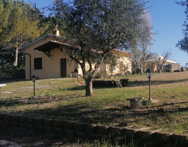 foto 2 Affitto tra privati Marotta maison Marche Pesaro Urbino (provincia di) Vista esterna della casa vacanze