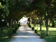 Affitto case agriturismi vacanza Tarn E Garonna (Tarn Et Garonne): gite n. 122055