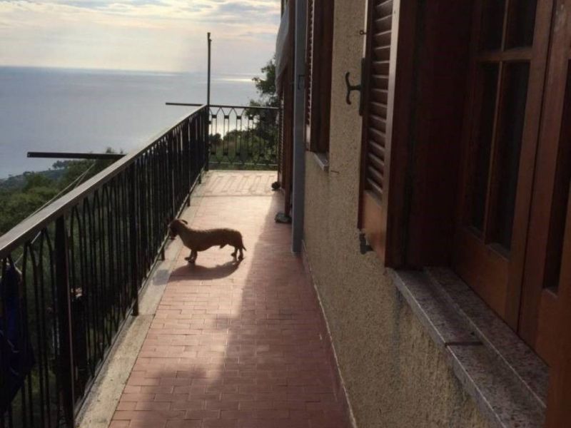 foto 3 Affitto tra privati Tropea villa Calabria Vibo Valentia (provincia di) Balcone
