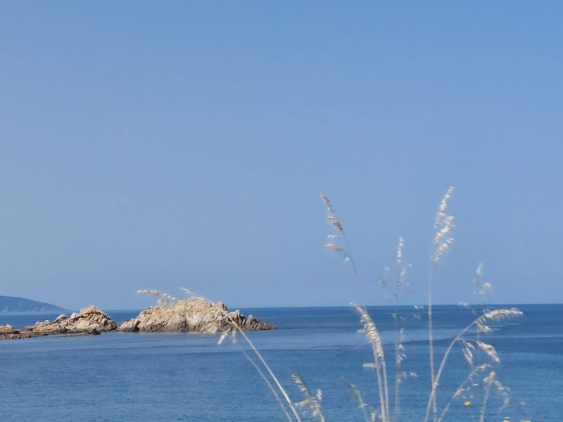 foto 17 Affitto tra privati Santa Maria Poggio appartement Corsica Corsica settentrionale Spiaggia