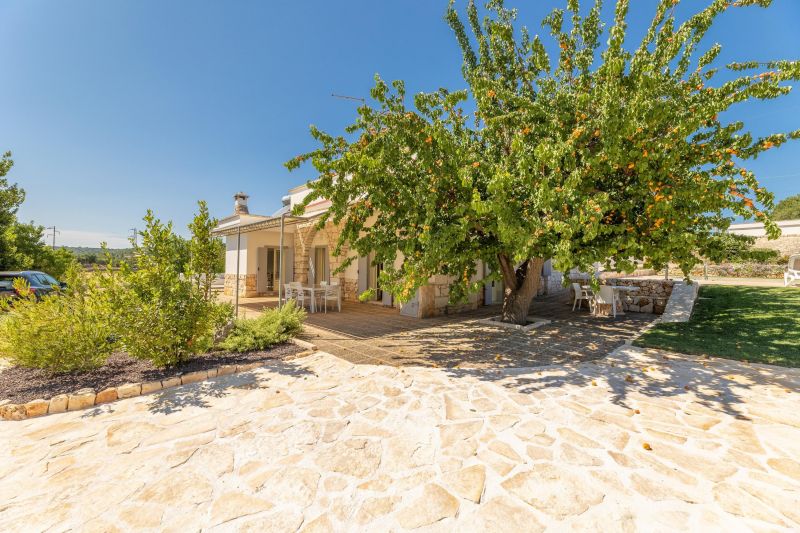 foto 4 Affitto tra privati Ostuni villa Puglia