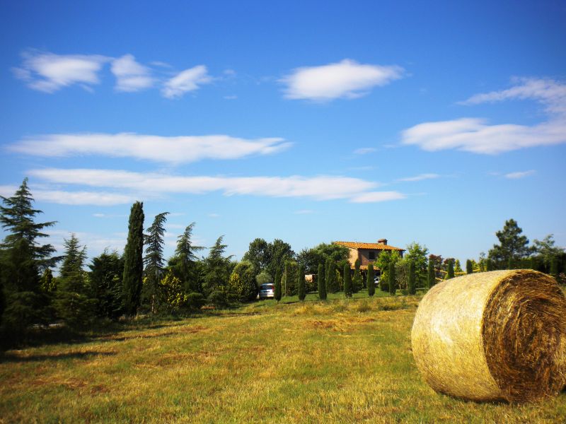 foto 13 Affitto tra privati Cortona maison Toscana Arezzo (provincia di) Vista esterna della casa vacanze