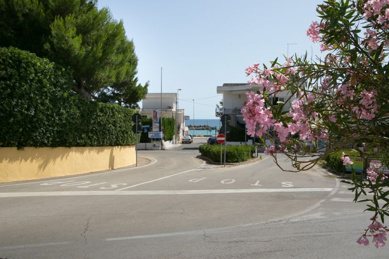 foto 12 Affitto tra privati Torre Vado maison Puglia Lecce (provincia di) Vista dalla casa vacanze