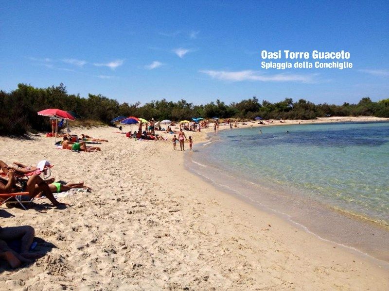 foto 4 Affitto tra privati Ostuni villa Puglia Brindisi (provincia di) Spiaggia