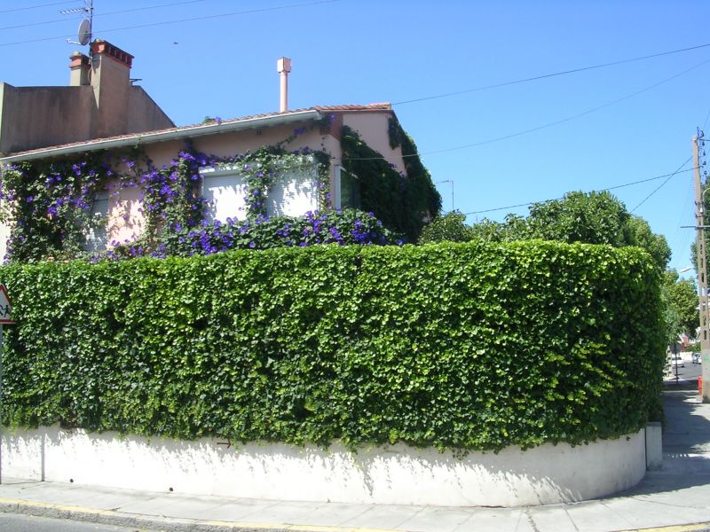 foto 0 Affitto tra privati Perpignan maison Linguadoca-Rossiglione Pirenei Orientali (Pyrnes-Orientales) Vista esterna della casa vacanze