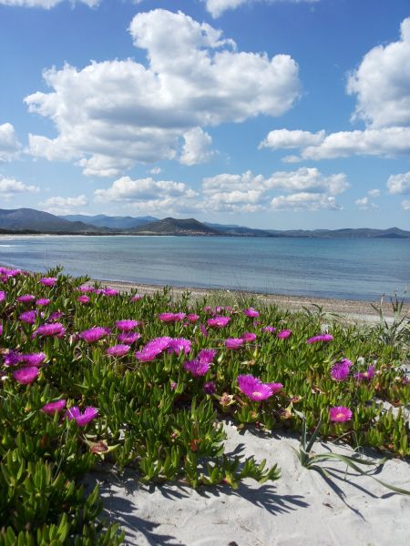 foto 21 Affitto tra privati Posada appartement Sardegna Nuoro (provincia di) Spiaggia