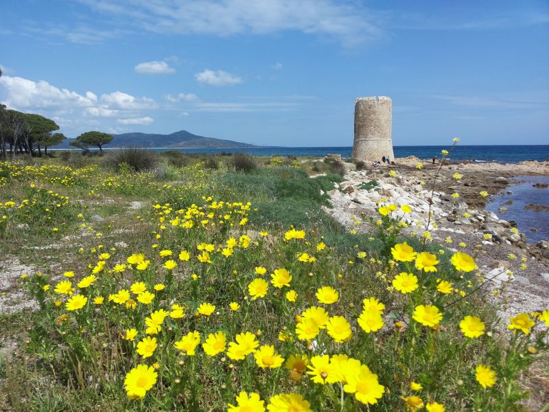 foto 22 Affitto tra privati Posada appartement Sardegna Nuoro (provincia di) Altra vista