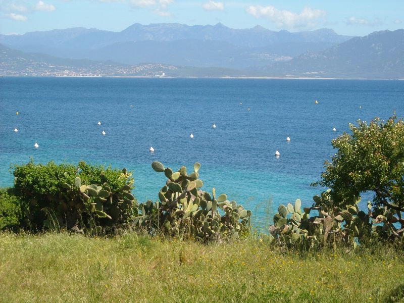 foto 10 Affitto tra privati Porto Pollo villa Corsica Corsica del Sud Vista dalla casa vacanze