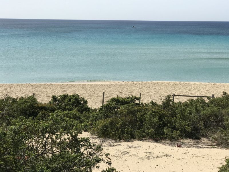 foto 1 Affitto tra privati Torre Lapillo appartement Puglia Lecce (provincia di) Spiaggia