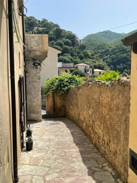 foto 1 Affitto tra privati Pisciotta studio Campania Salerno (provincia di) Vista esterna della casa vacanze