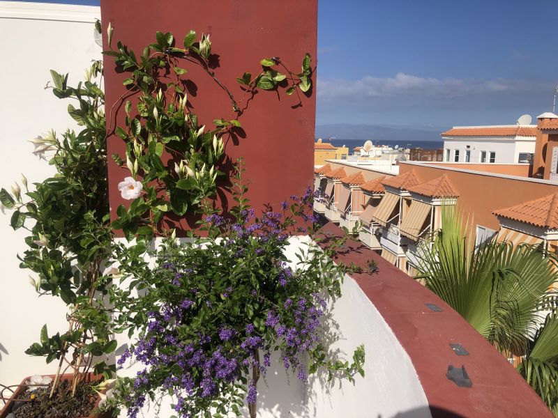 foto 1 Affitto tra privati Playa San Juan appartement Canarie  Vista dal terrazzo