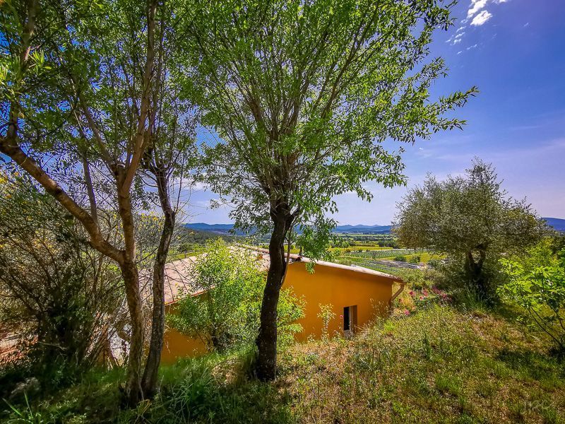 foto 4 Affitto tra privati Cuers studio Provenza Alpi Costa Azzurra Var Giardino