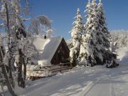 Affitto case vacanza Les Arcs: chalet n. 90038