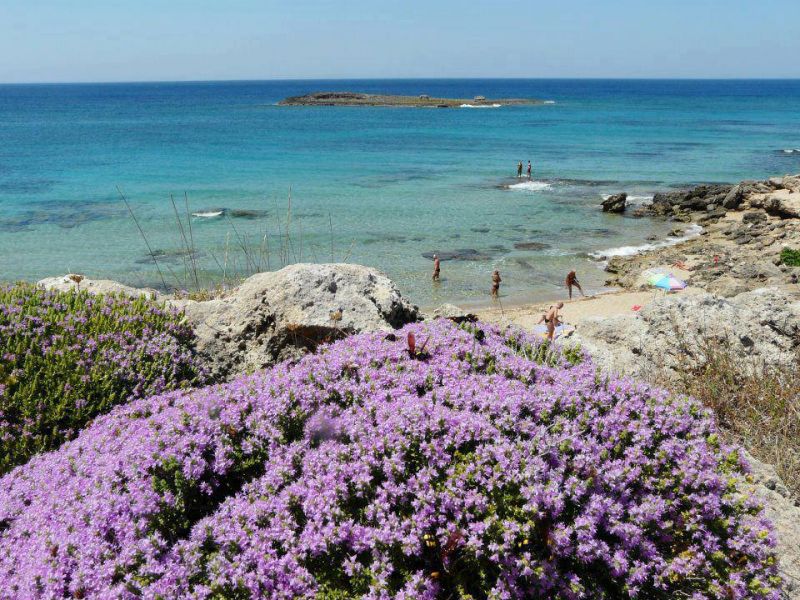 foto 19 Affitto tra privati Ugento - Torre San Giovanni studio Puglia Lecce (provincia di) Vista nelle vicinanze