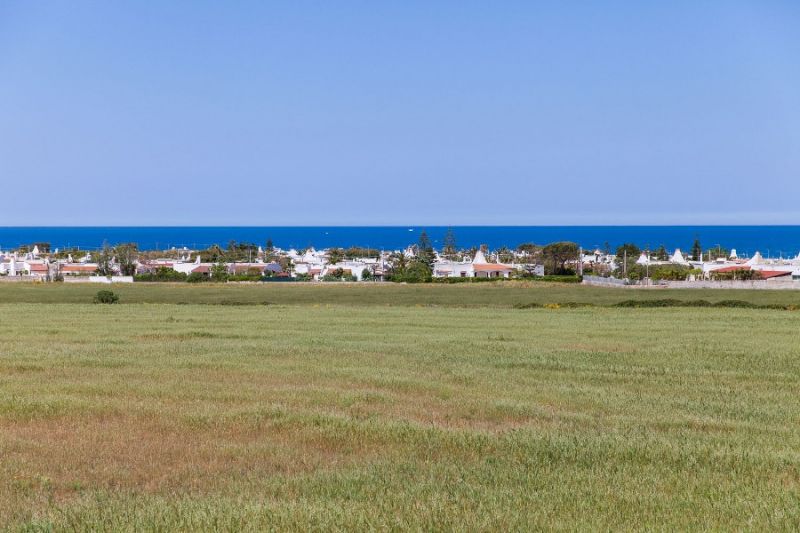 foto 25 Affitto tra privati Ostuni villa Puglia Brindisi (provincia di) Vista esterna della casa vacanze