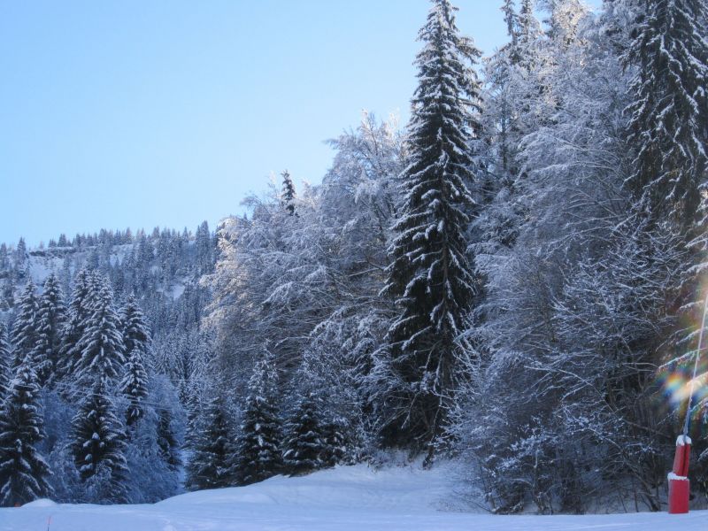 foto 12 Affitto tra privati Praz sur Arly appartement Rodano Alpi Alta Savoia